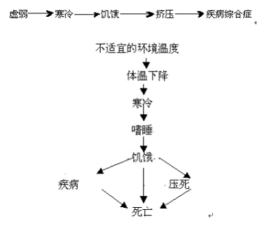 母猪补硒补钙的量（母猪补硒什么时候补最好）-硒宝网