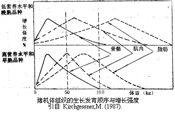 母猪补硒补钙的量（母猪补硒什么时候补最好）-硒宝网