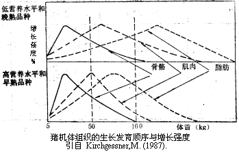母猪补硒补钙的量（母猪补硒什么时候补最好）-硒宝网