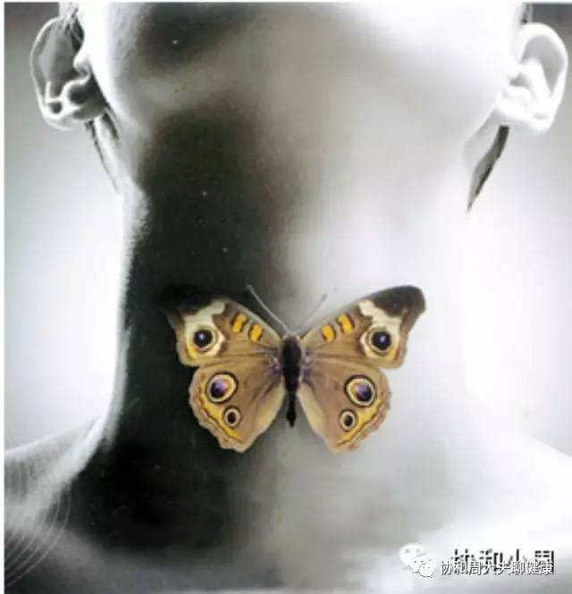 桥本甲减补硒推荐（桥本补充硒）-硒宝网