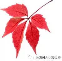 桥本甲减补硒推荐（桥本补充硒）-硒宝网