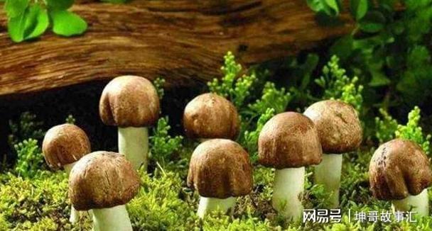 先心病可以补硒吗(补硒对心脏有好处吗)-硒宝网