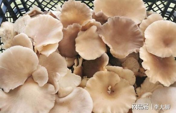 先心病可以补硒吗(补硒对心脏有好处吗)-硒宝网