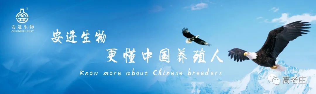 补硒能治疗贫血吗(有贫血的人吃硒产品好吗)-硒宝网