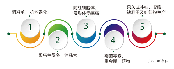 补硒能治疗贫血吗(有贫血的人吃硒产品好吗)-硒宝网