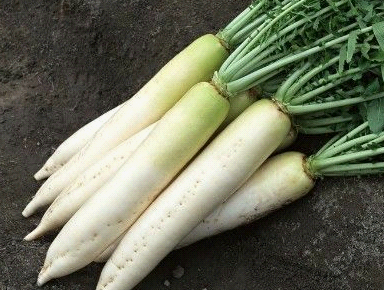 补硒可以吃萝卜吗（萝卜含硒吗）-硒宝网