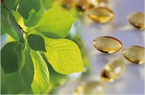 硒酵母能补叶酸吗（酵母能补叶酸硒嘛）-硒宝网