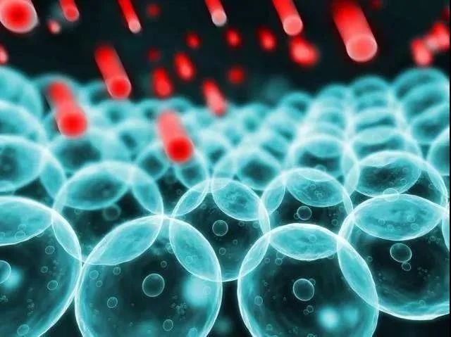 补硒的药哪种最好（补硒的药有害处吗）-硒宝网