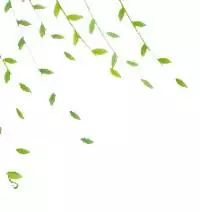 补硒的药哪种最好(中药补硒)-硒宝网