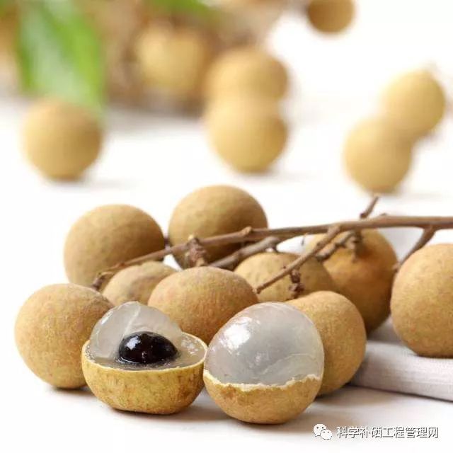 补硒的药哪种最好(中药补硒)-硒宝网