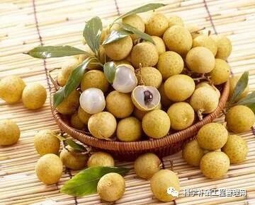 补硒的药哪种最好(中药补硒)-硒宝网