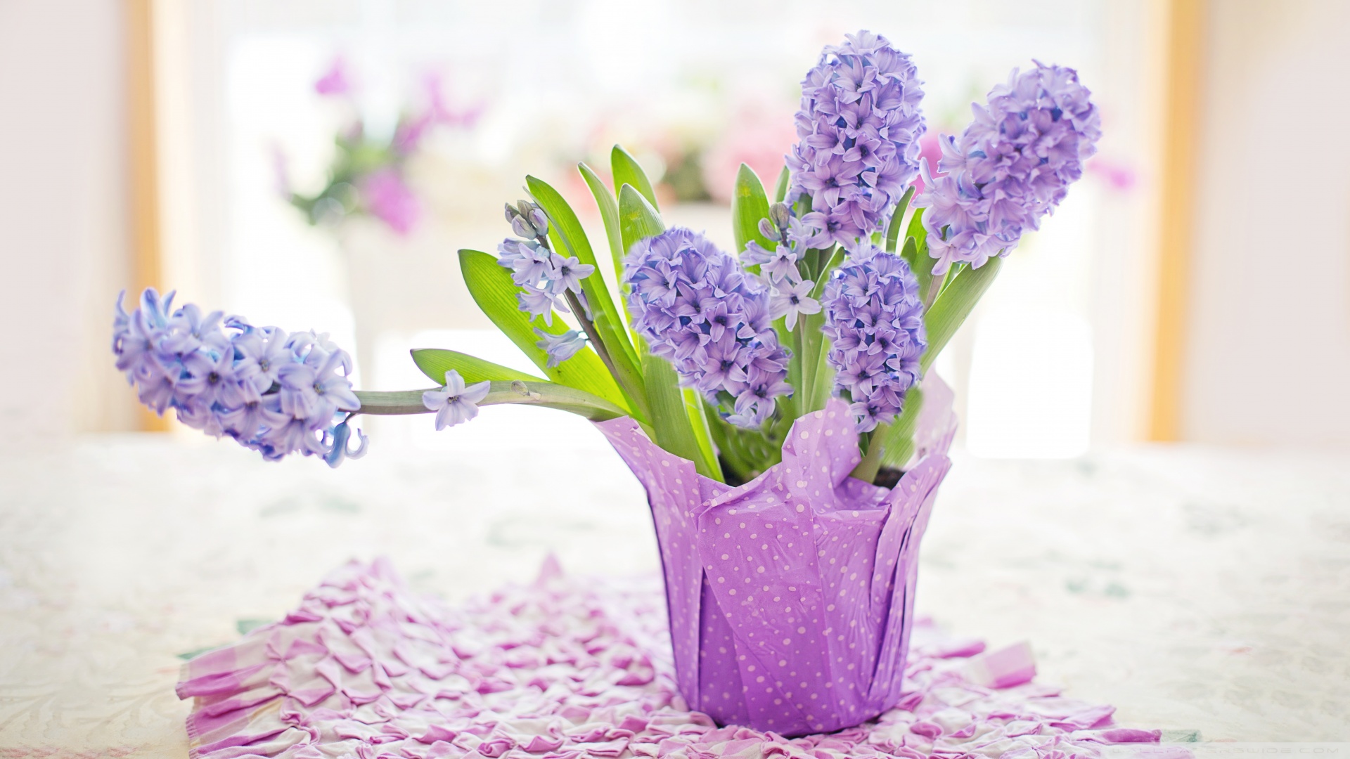 甲状腺癌可以补硒（甲状腺癌吃硒片好吗）-硒宝网