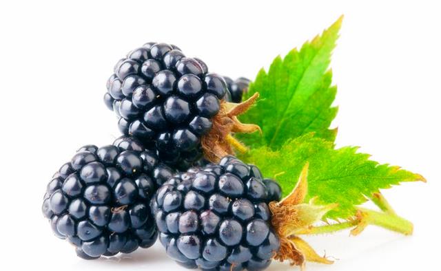 什么水果补镁和硒(含硒镁最高的食物和水果)-硒宝网