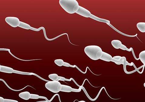 男性备孕需要补硒（备孕男士需要补锌硒吗）-硒宝网