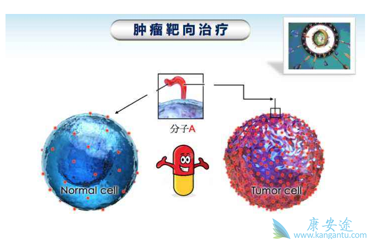 补硒对疱疹的作用(疱疹需要补充什么)-硒宝网