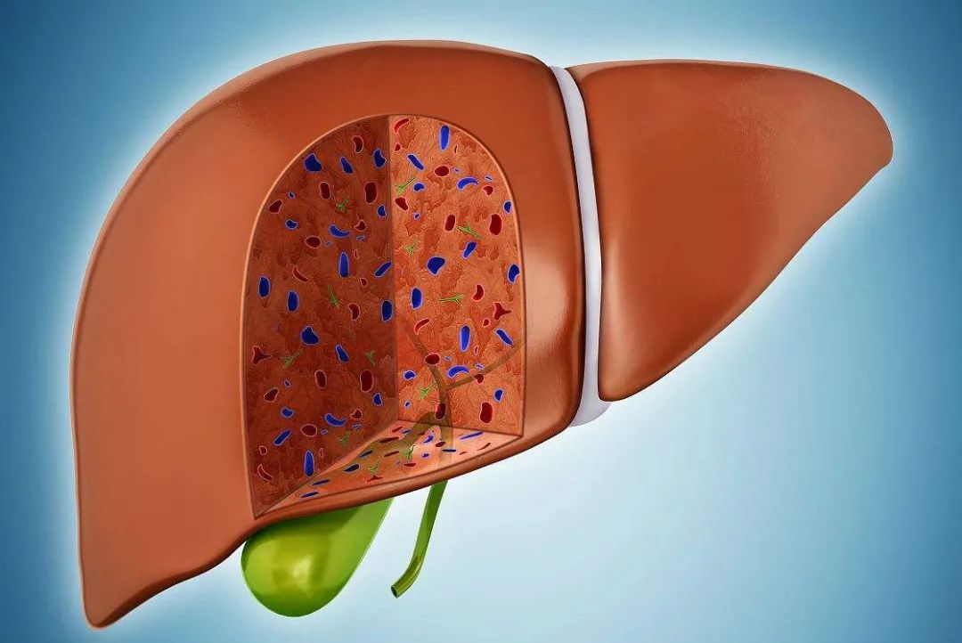 补硒的功效和坏处(硒对人体的好处和坏处)-硒宝网