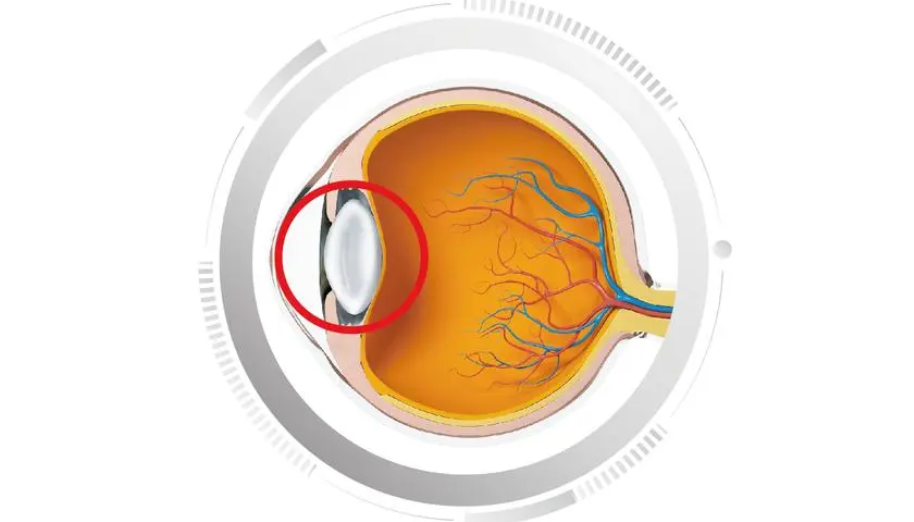 补硒的功效和坏处(硒对人体的好处和坏处)-硒宝网
