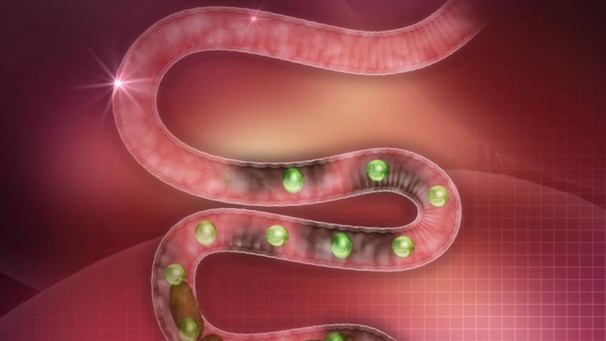 补硒的功效和坏处(硒对人体的好处和坏处)-硒宝网