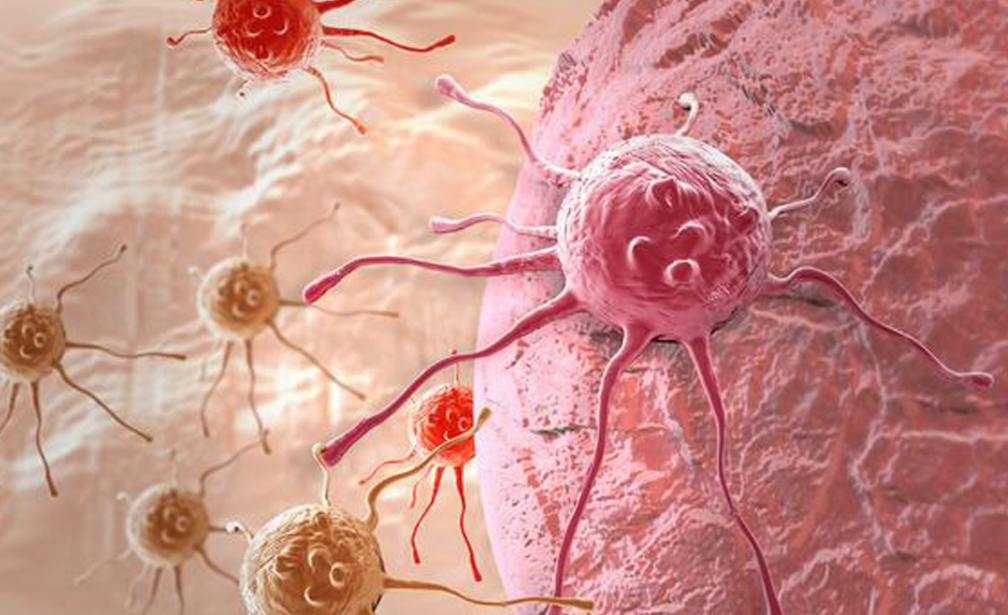 补硒的功效和坏处(硒对人体的好处和坏处)-硒宝网