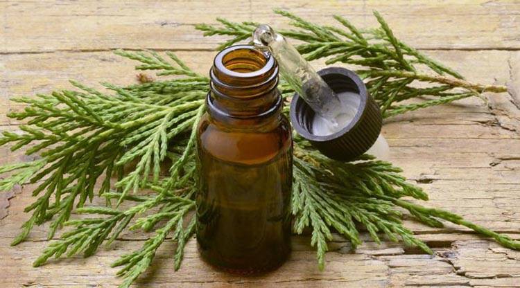 补硒会鼻子出血吗（鼻子出血需要补充什么维生素）-硒宝网