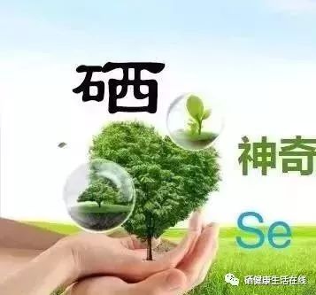 什么时候可以补硒（补硒期间可以喝酒吗）-硒宝网
