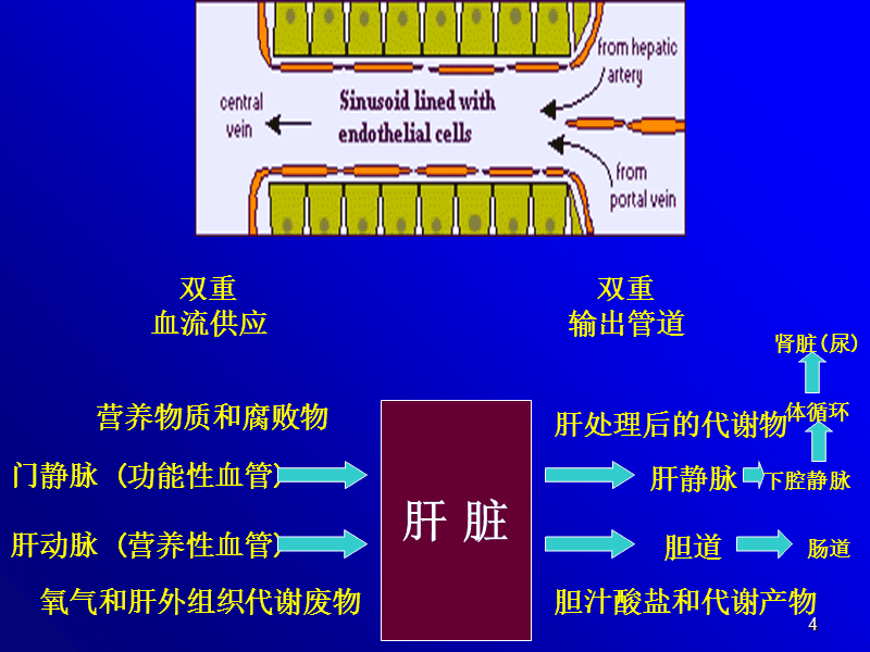 补硒的豆浆怎样做（豆浆补维生素吗）-硒宝网