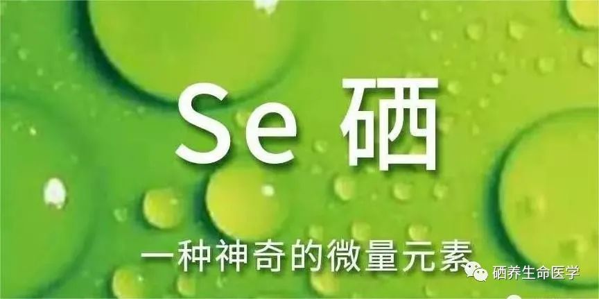 肺结核需要补硒吗（肺结核需要补充营养吗）-硒宝网