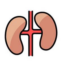 绝经后可以补硒吗(补绝经硒可以后期服用吗)-硒宝网