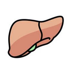 绝经后可以补硒吗(补绝经硒可以后期服用吗)-硒宝网