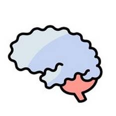 绝经后可以补硒吗(补绝经硒可以后期服用吗)-硒宝网