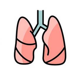 绝经后可以补硒吗(补绝经硒可以后期服用吗)-硒宝网