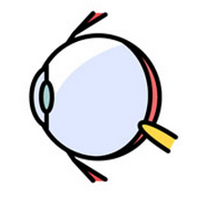 绝经后可以补硒吗(补绝经硒可以后期服用吗)-硒宝网