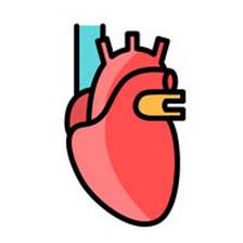 绝经后可以补硒吗(补绝经硒可以后期服用吗)-硒宝网