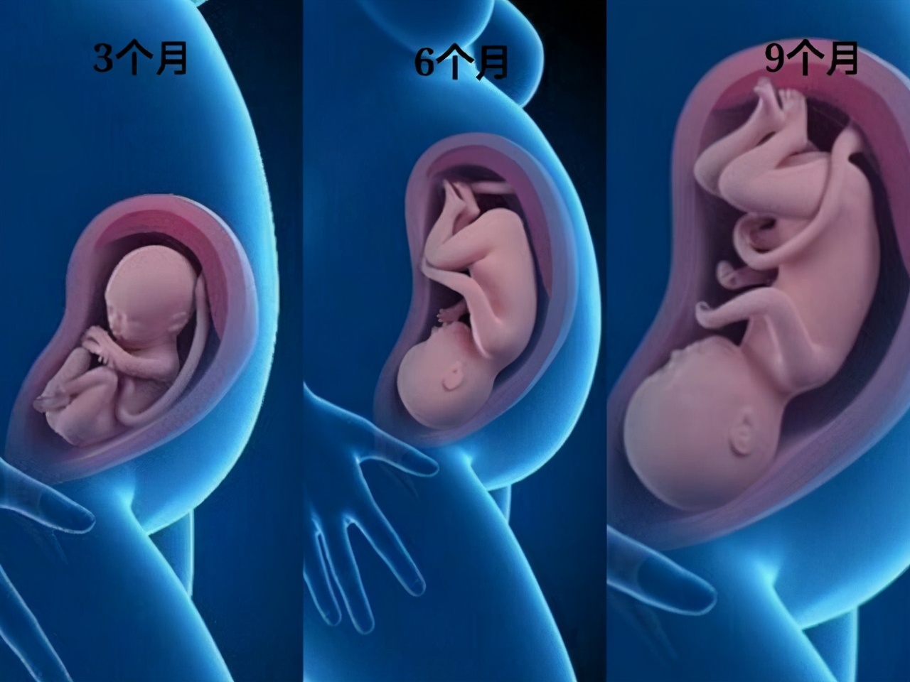 为什么女性要补硒（女人补硒吃什么药好）-硒宝网