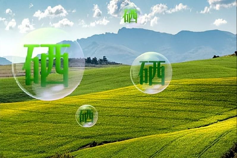 缺少硒吃啥补最好（缺少硒吃什么补）-硒宝网