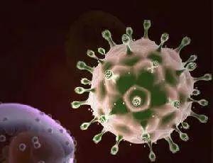 补硒预防新冠病毒(关于补充硒防新冠的建议)-硒宝网