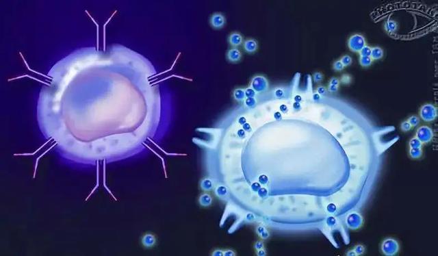 补硒预防新冠病毒(关于补充硒防新冠的建议)-硒宝网