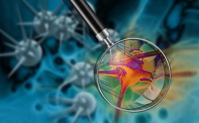 缺少硒吃啥补最好(缺少硒会怎样)-硒宝网