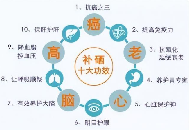 哪些食物是补硒的(补补硒的食物)-硒宝网