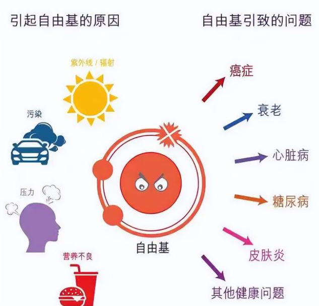 哪些食物是补硒的(补补硒的食物)-硒宝网