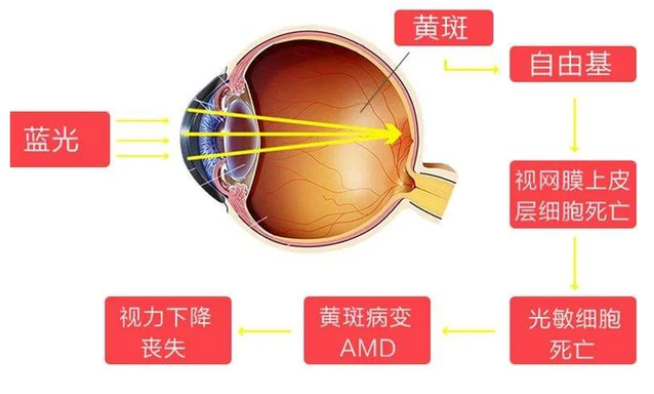 哪些食物是补硒的(补补硒的食物)-硒宝网