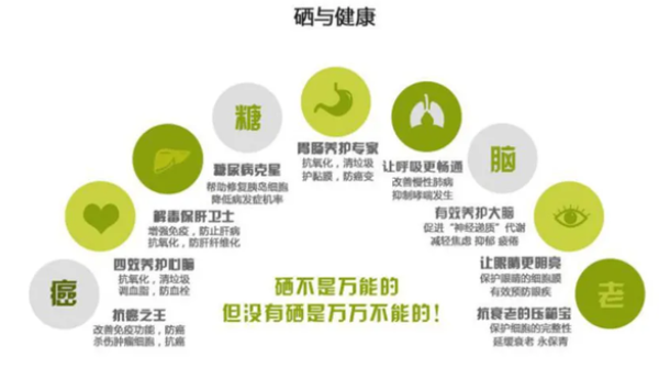 哪些食物是补硒的(补补硒的食物)-硒宝网