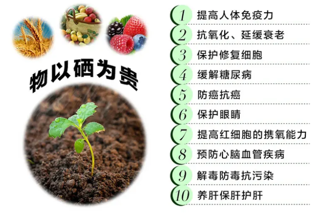 哪些食物是补硒的(补补硒的食物)-硒宝网