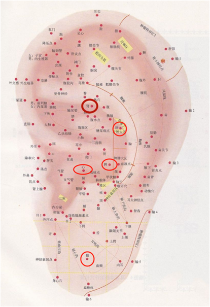补硒能治疗近视吗（近视能补治疗硒元素吗）-硒宝网