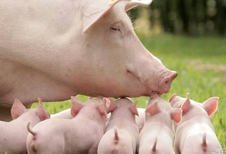 补硒能出现湿疹吗(湿疹能补出现硒元素吗)-硒宝网