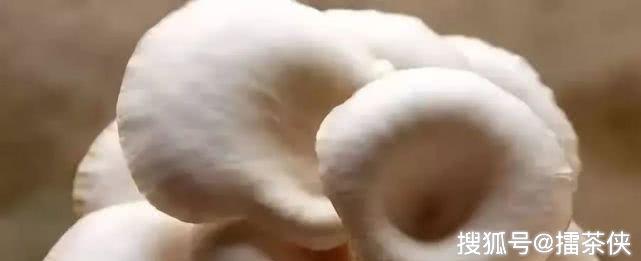 癌症补硒吃什么好（癌症病人补充硒）-硒宝网