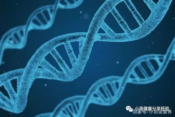 人需要天天补硒吗（人体需要补硒）-硒宝网