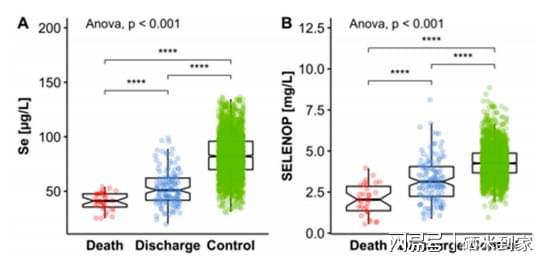 补硒锅是不是真的(硒铁锅好用吗)-硒宝网