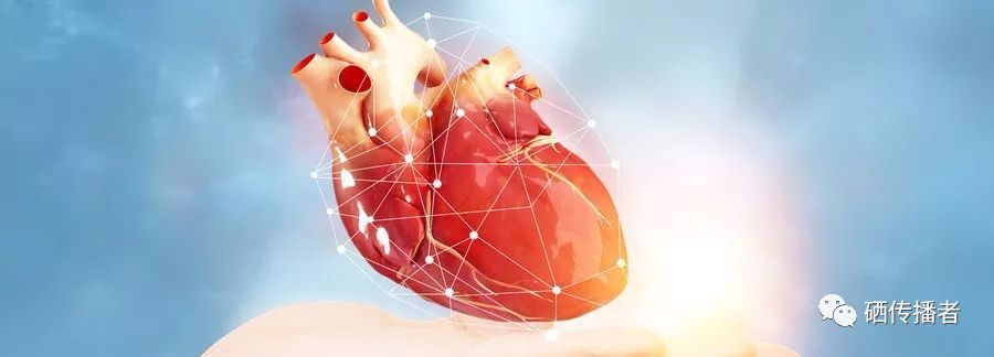 过量补硒升胆固醇（补硒能降低胆固醇吗）-硒宝网