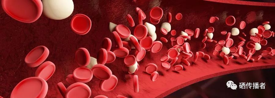 过量补硒升胆固醇（补硒能降低胆固醇吗）-硒宝网